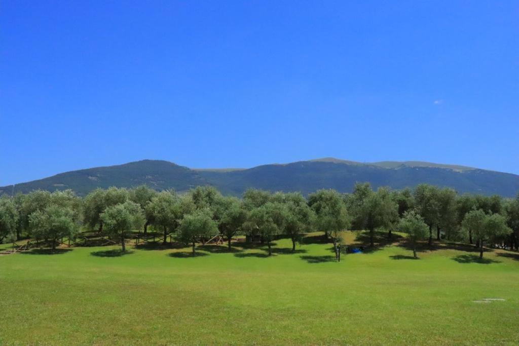 Agriturismo Il Casale Di Monica Rivotorto Exterior photo