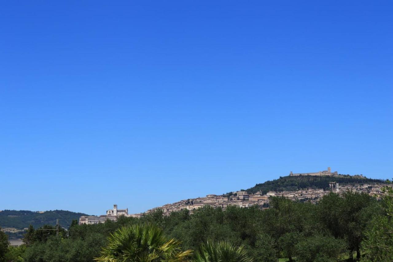Agriturismo Il Casale Di Monica Rivotorto Exterior photo