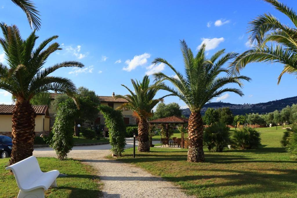 Agriturismo Il Casale Di Monica Rivotorto Exterior photo